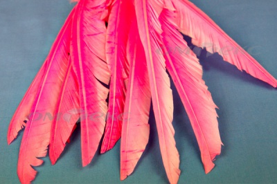 Декоративный Пучок из перьев, перо 25см/розовый - купить в Майкопе. Цена: 14.40 руб.