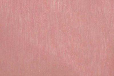 Органза однотонная "Амелия" С19 (Розовый) 280 см - купить в Майкопе. Цена 303.09 руб.