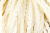 Тесьма декоративная "Шнур-косичка" - купить в Майкопе. Цена: 2.31 руб.