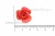 Украшение "Розы малые №1" 20мм - купить в Майкопе. Цена: 32.49 руб.