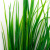 Трава искусственная -2, шт (осока 41см/8 см)				 - купить в Майкопе. Цена: 104.57 руб.