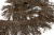 008-коричневый, Бахрома арт.001 шир.10см (упак.12+/-0,5м) - купить в Майкопе. Цена: 1 017.33 руб.