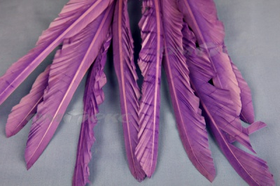 Декоративный Пучок из перьев, перо 25см/фиолетовый - купить в Майкопе. Цена: 12.19 руб.