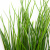 Трава искусственная -4, шт  (осока 50 см/8 см  7 листов)				 - купить в Майкопе. Цена: 130.73 руб.