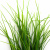 Трава искусственная -3, шт (осока 50 см/8 см  5 листов)				 - купить в Майкопе. Цена: 124.17 руб.